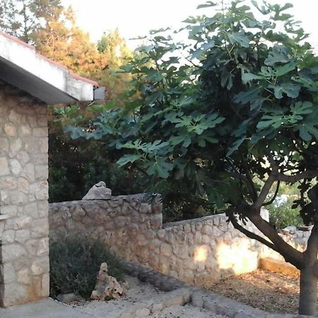 شقة Kreso I Niko Grebaštica المظهر الخارجي الصورة